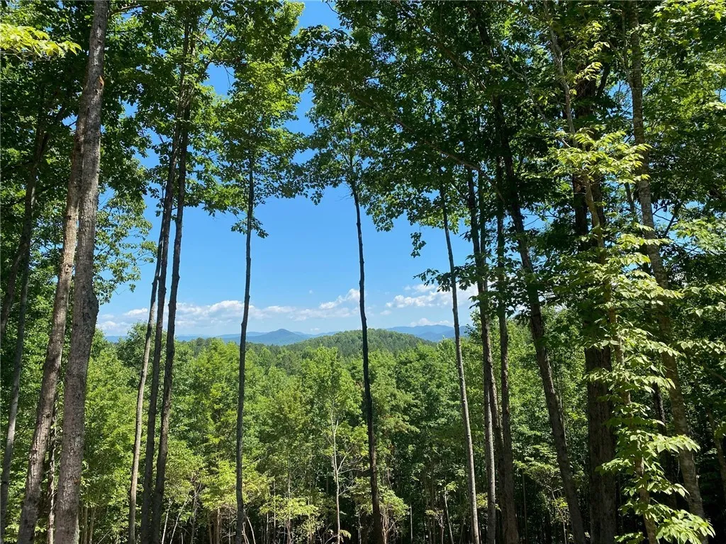 Property image 4 at Lot 38 Cliffs Vista Parkway, Six Mile, SC 29682