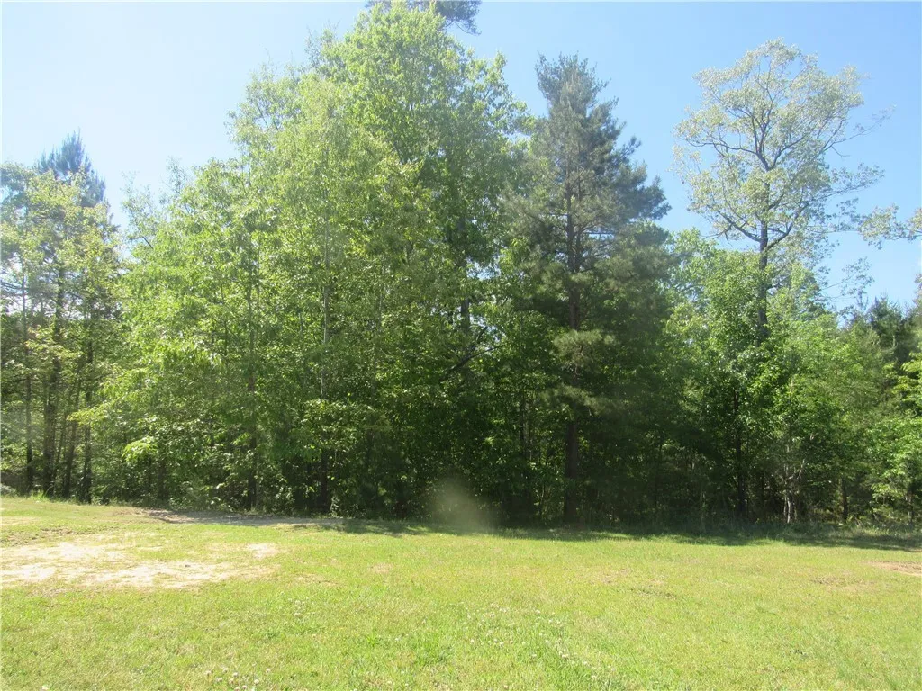110 Trout Lily Lane