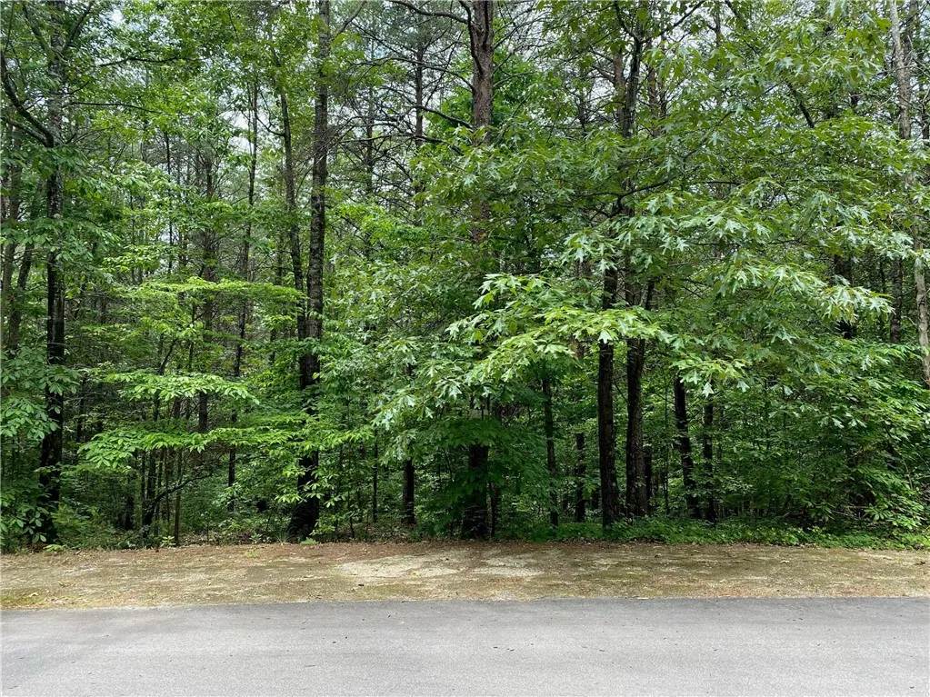 508 Vineyard Park