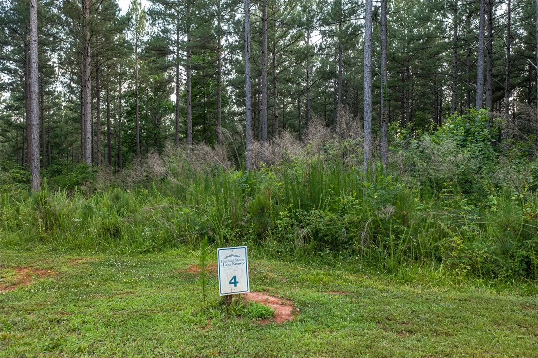 Highland Shores At Lake Keowee, Salem Community