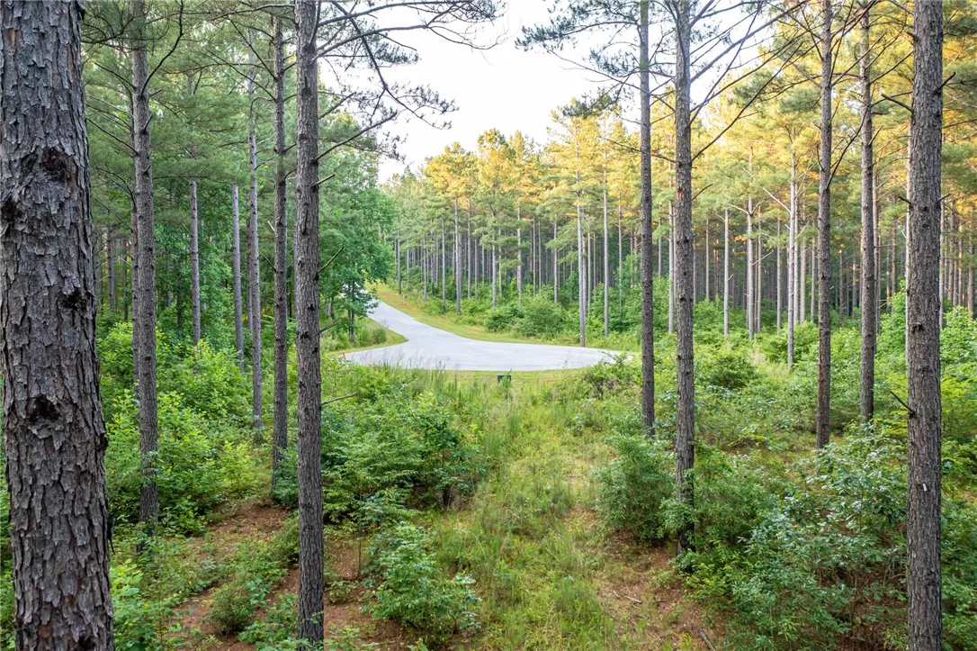 Property image 4 at 0 High Pines Drive, Salem, SC 29676