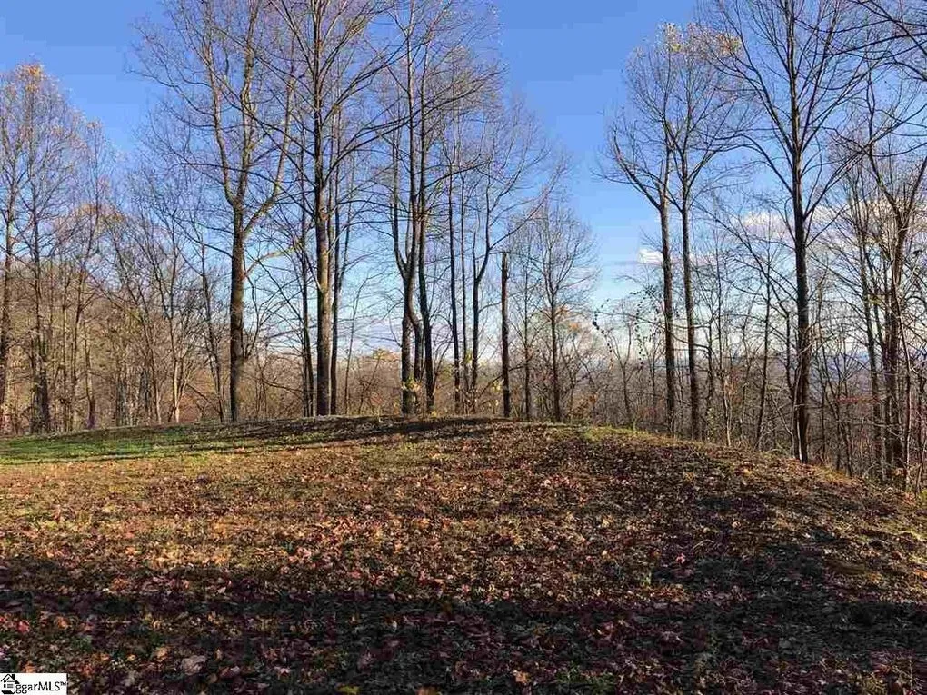 275 Lost Trail Drive