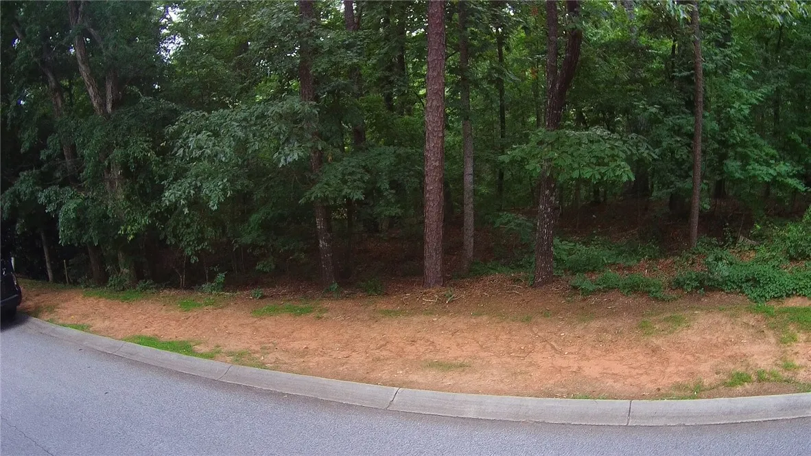 Property image 2 at Lot 78 Amenity Way, Seneca, SC 29672
