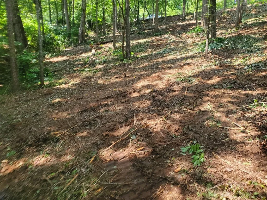 Property image 2 at Lot 23 Waterstone, West Union, SC 29696