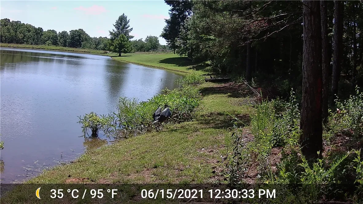 Property image 5 at 31 Tullamore Trail, Abbeville, SC 29620