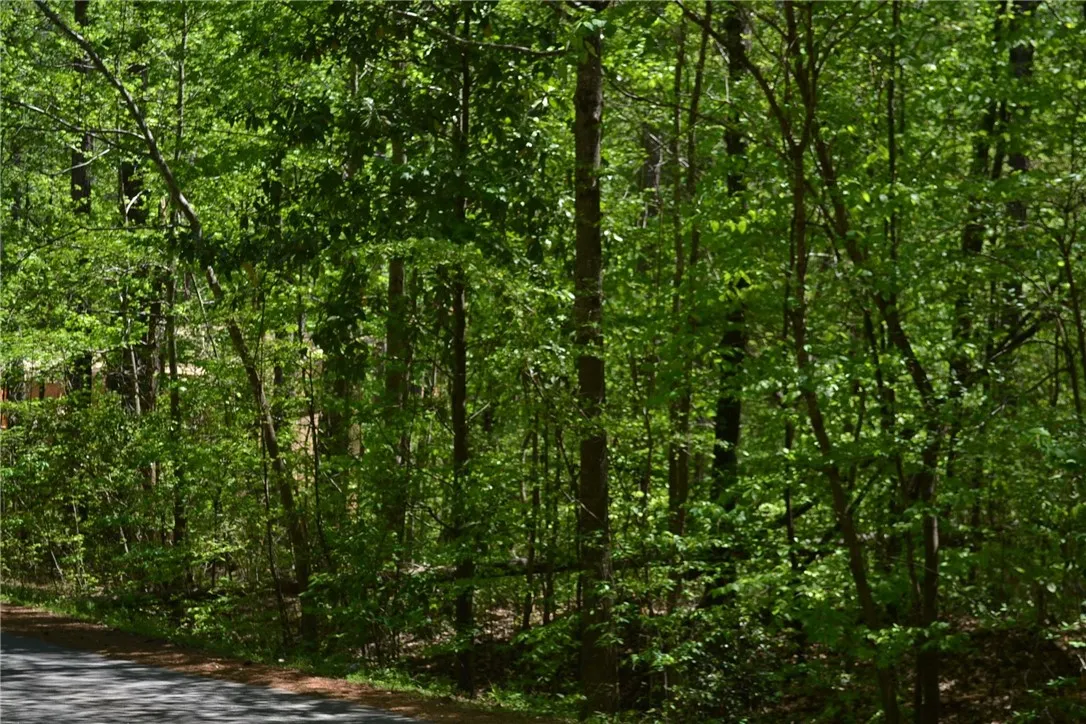 Property image 3 at 1524 Woodbury Road, Seneca, SC 29672