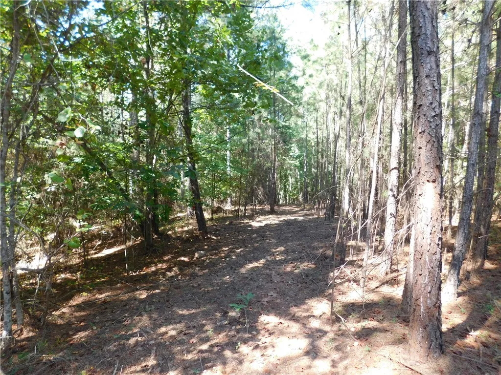 Lot 9 Bentwood Way