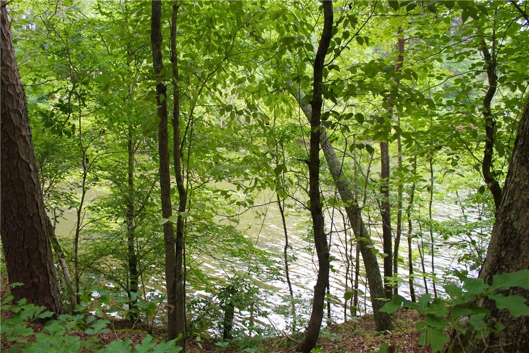 Property image 3 at 47 LAKE EDGE Way, Toccoa, SC 30577