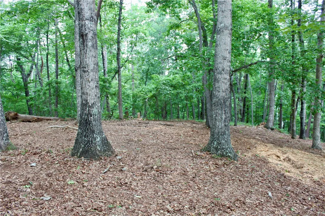 Property image 4 at 47 LAKE EDGE Way, Toccoa, SC 30577
