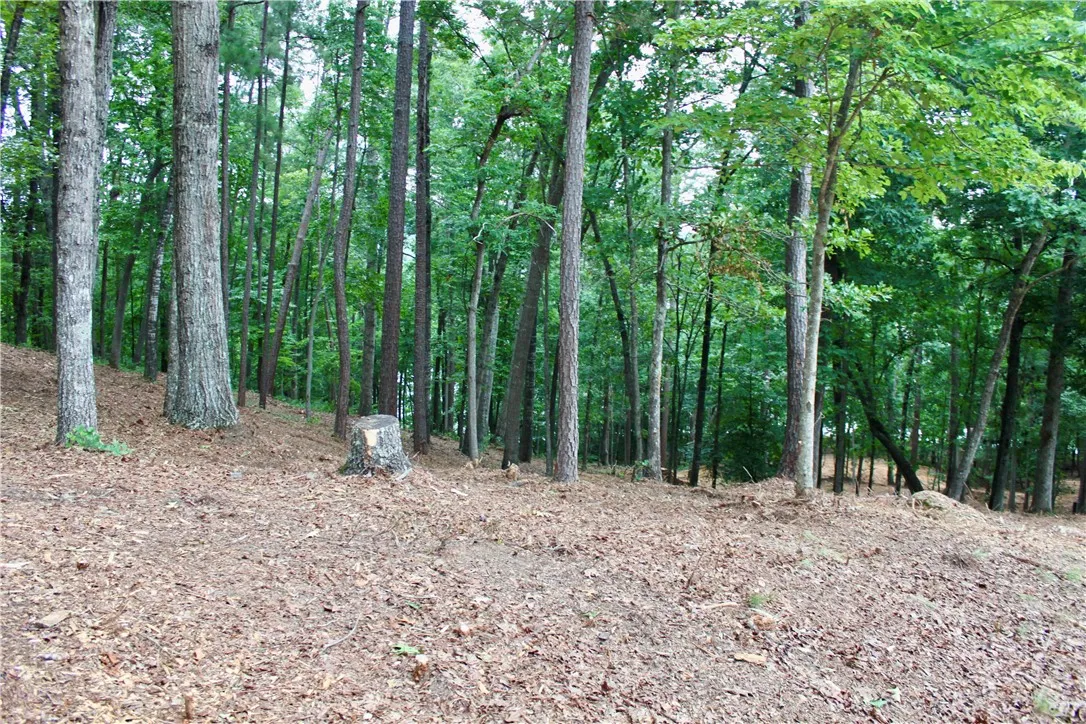 Property image 5 at 47 LAKE EDGE Way, Toccoa, SC 30577