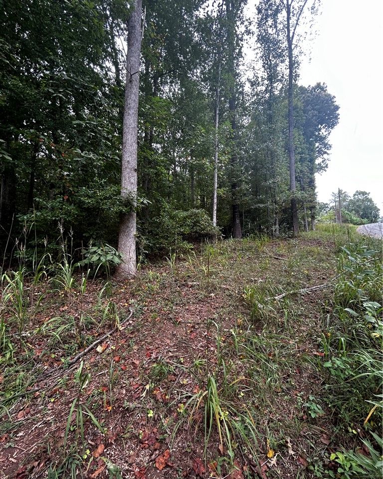 Property image 3 at 0 N Davis Drive, Fair Play, SC 29643