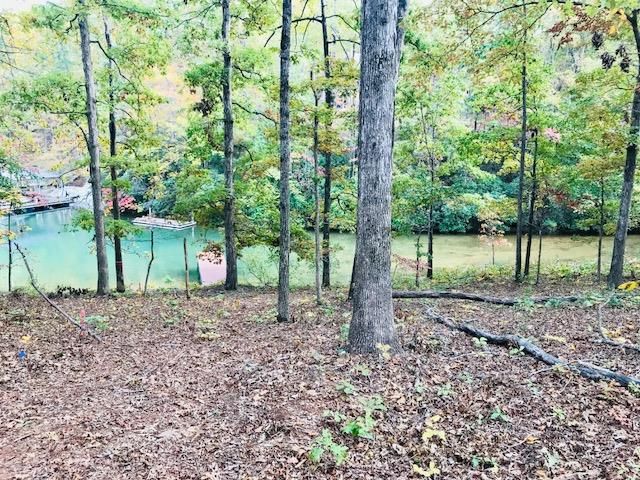 Property image 3 at 4040 Augusta Point Drive, Seneca, SC 29672