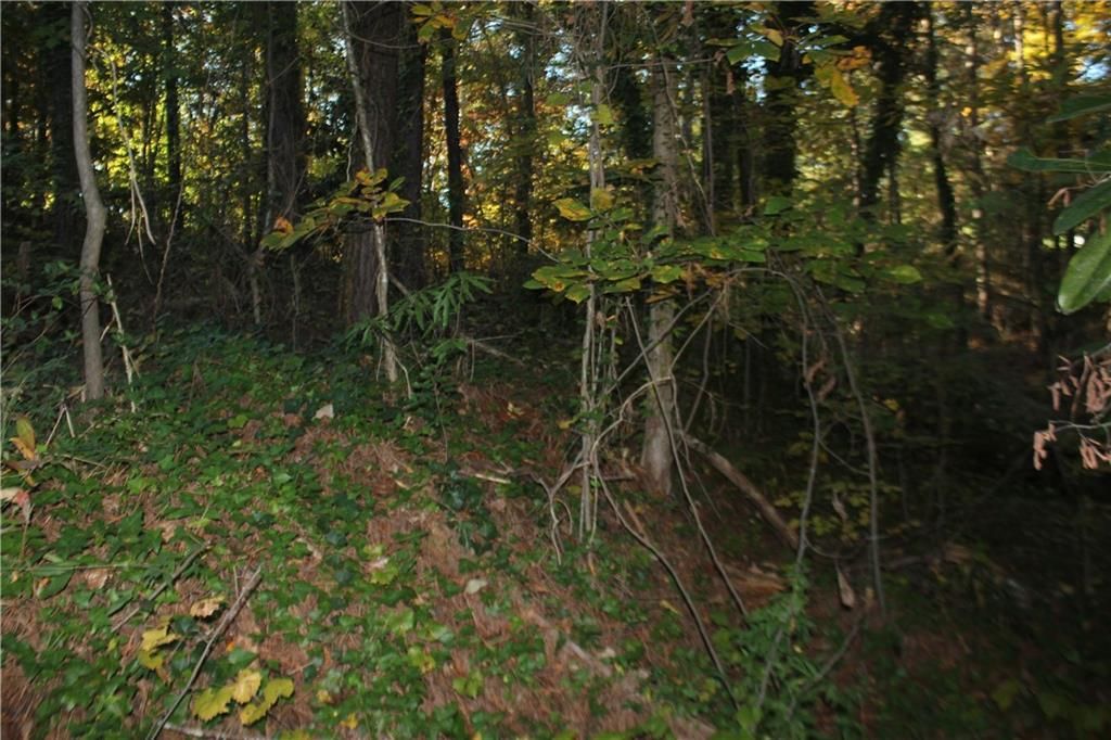 Property image 3 at Lot 305 Lawrence Bridge Road, Seneca, SC 29672