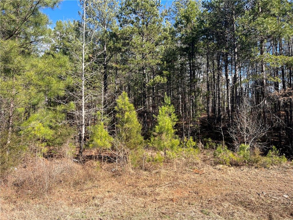 Property image 3 at 107 Friendship Pointe Drive, Seneca, SC 29678