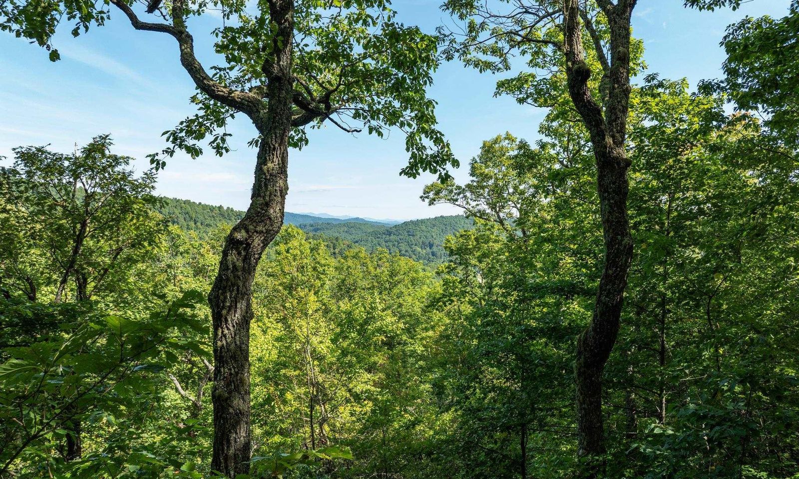 Property image 2 at 0 Panther Mountain Road, Zirconia, NC 28790