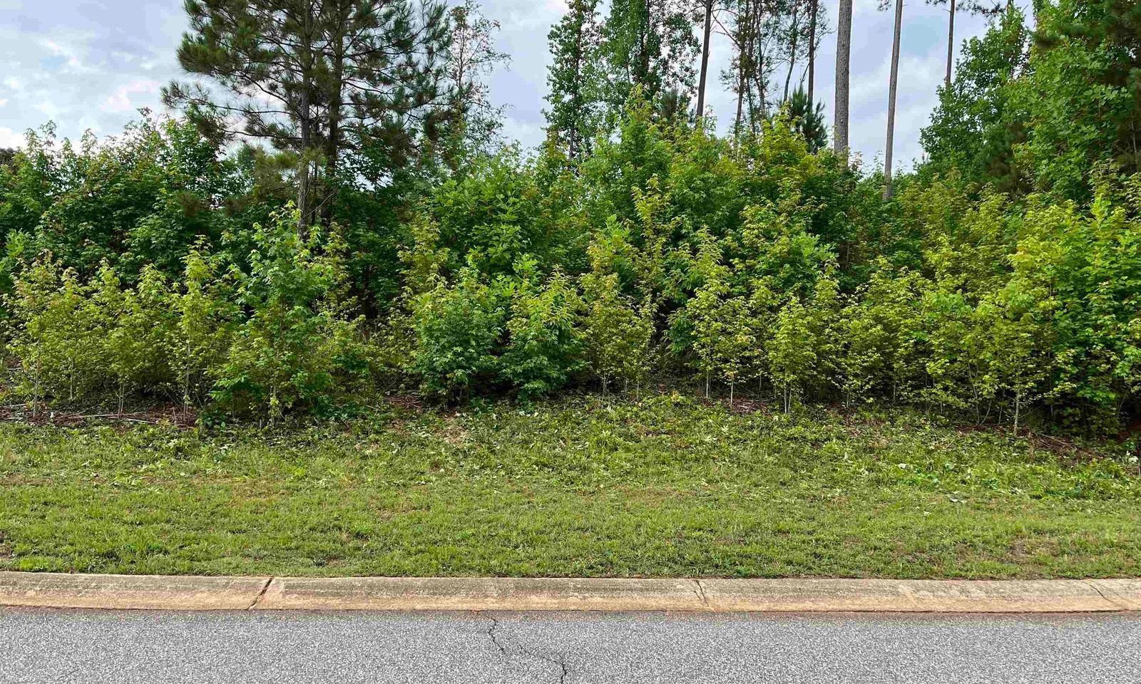 Main image of property at 104 Lord Byron Lane, Travelers Rest, SC 29690