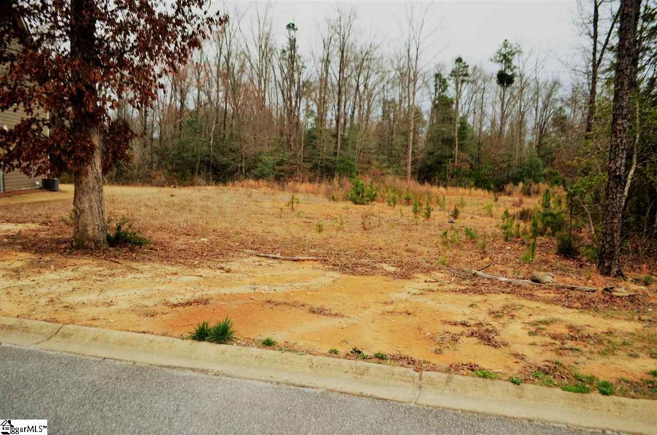 Property image 3 at 176 Carolina Oaks Drive, Fountain Inn, SC 29644