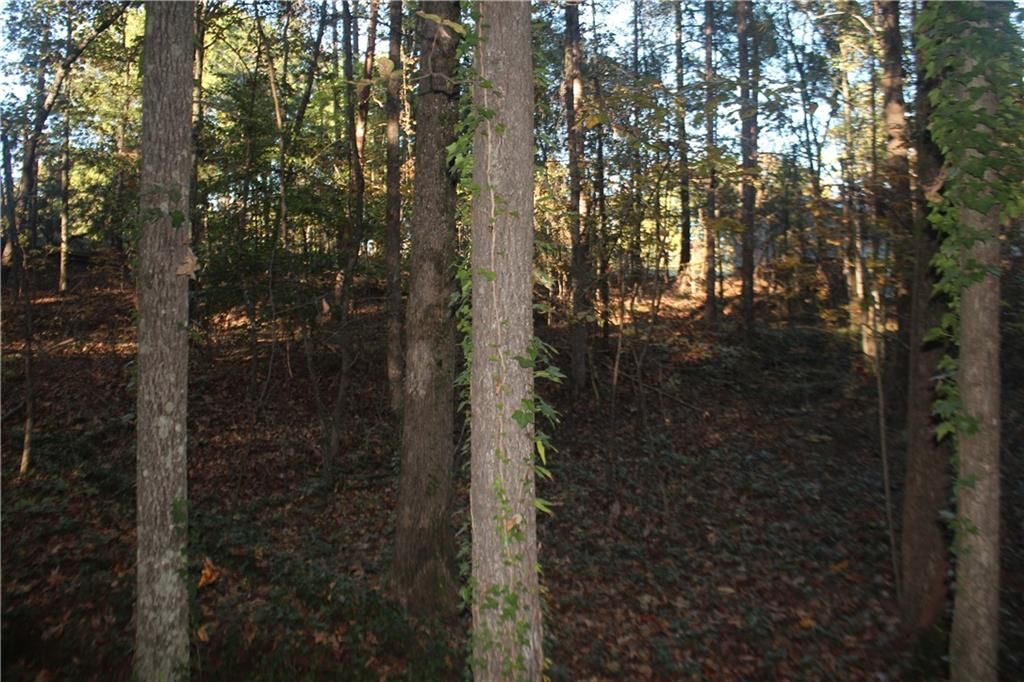 Property image 4 at Lot 305 Lawrence Bridge Road, Seneca, SC 29672