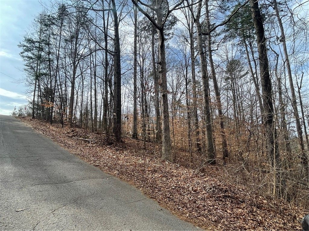 Property image 5 at 18 Buckskin Trail, Martin, GA 30557