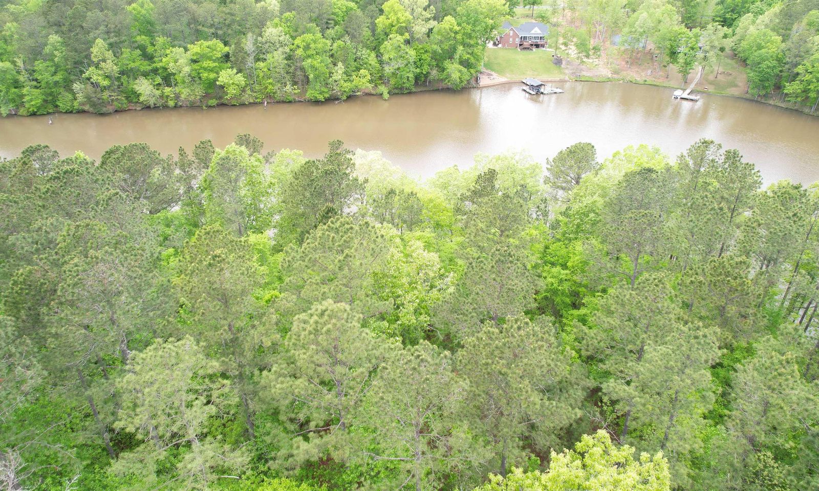 Property image 5 at 342 Watersedge Drive, Cross Hill, SC 29332